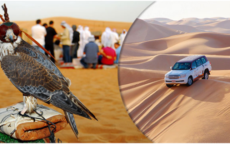 Desert Safari Adventure Tour