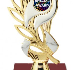 participation trophy