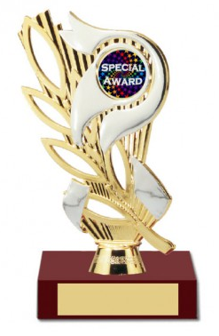 participation trophy