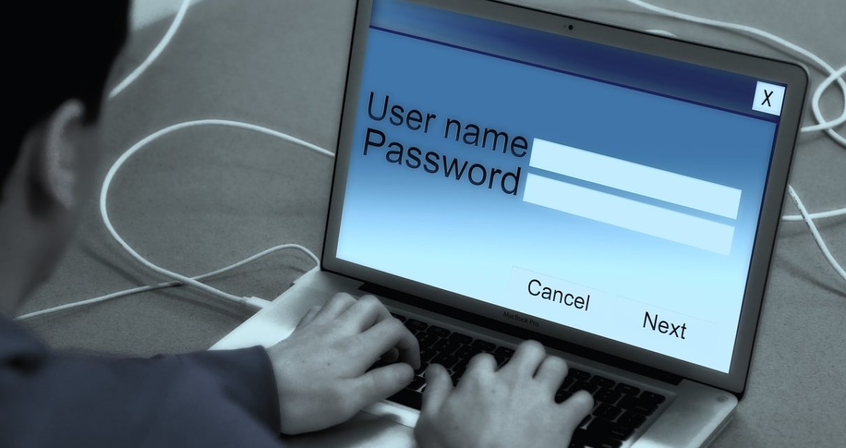 system administrator