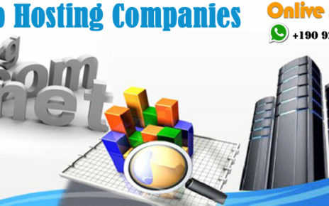 Web Hosting Company