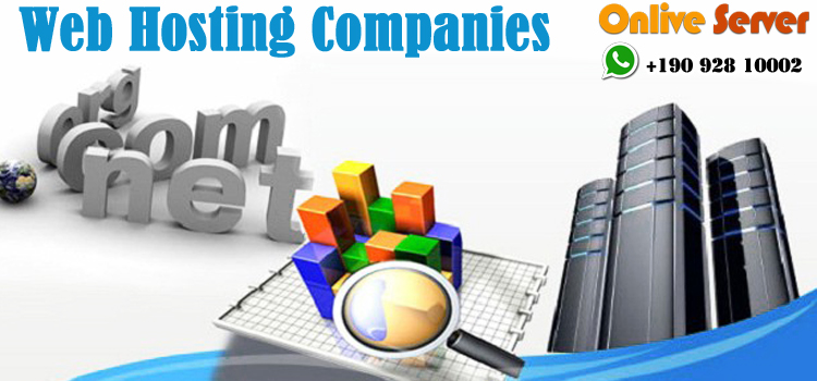 Web Hosting Company