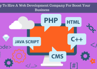 web development company in jaipur