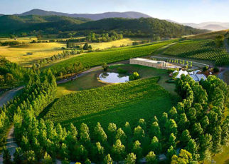 Melbourne Winery Tour