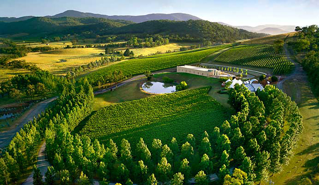 Melbourne Winery Tour