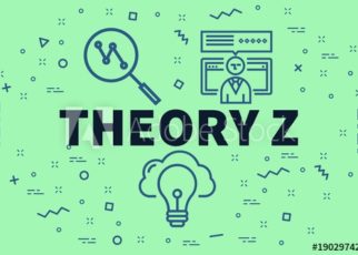 Theory Z