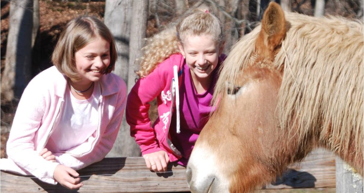 Asheville Academy for Girls
