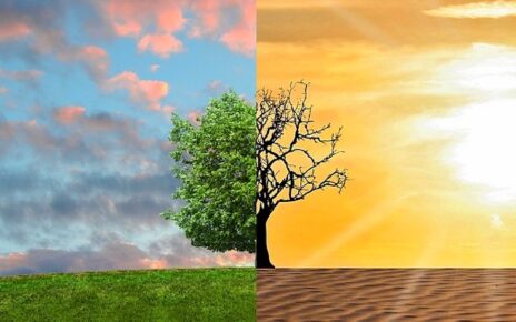 Daily weather forecast